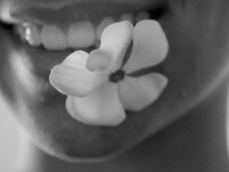 Pearly Whites - Ellis James Designs Blog