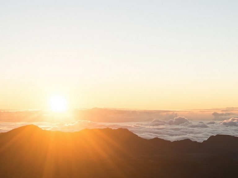 Getting Your Vitamin D On - Ellis James Designs Blog