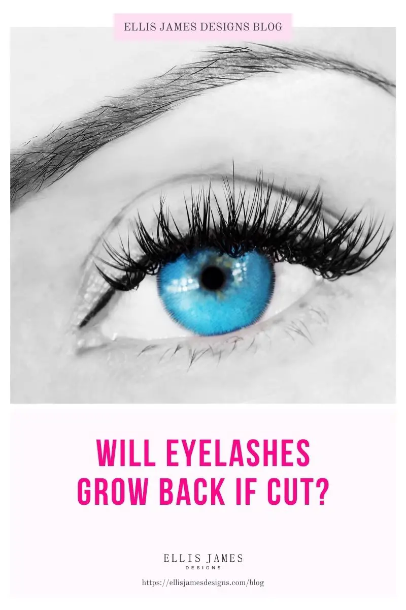 Will Eyelashes Grow Back if Cut on Pinterest