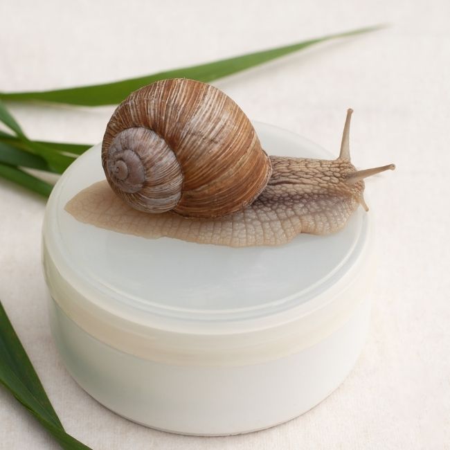 best snail mucin products