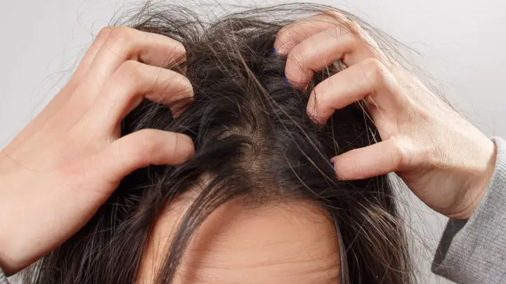 What Is The Best Shampoo For Smelly Scalp Issues?