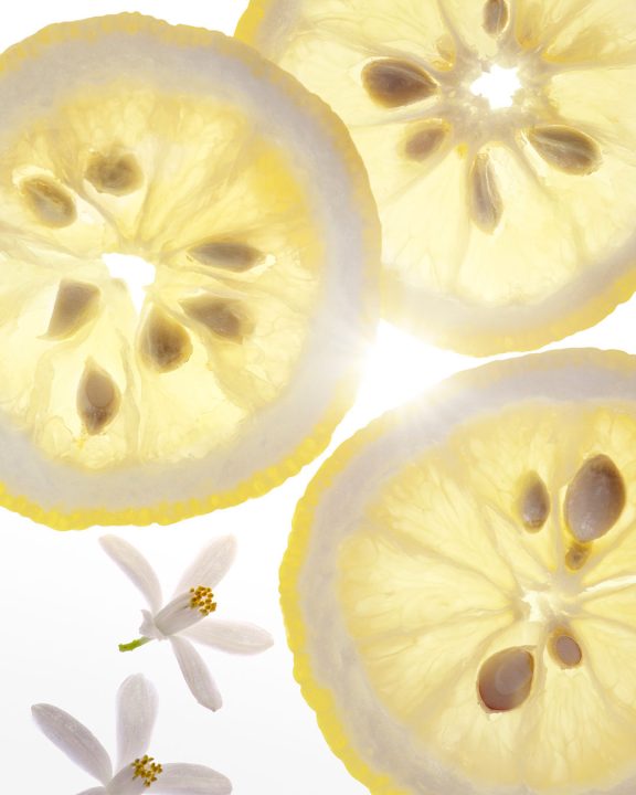Non Toxic Skincare Products For Safe And Stunning Beauty