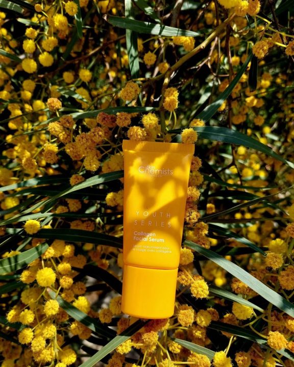 Non Toxic Skincare Products For Safe And Stunning Beauty